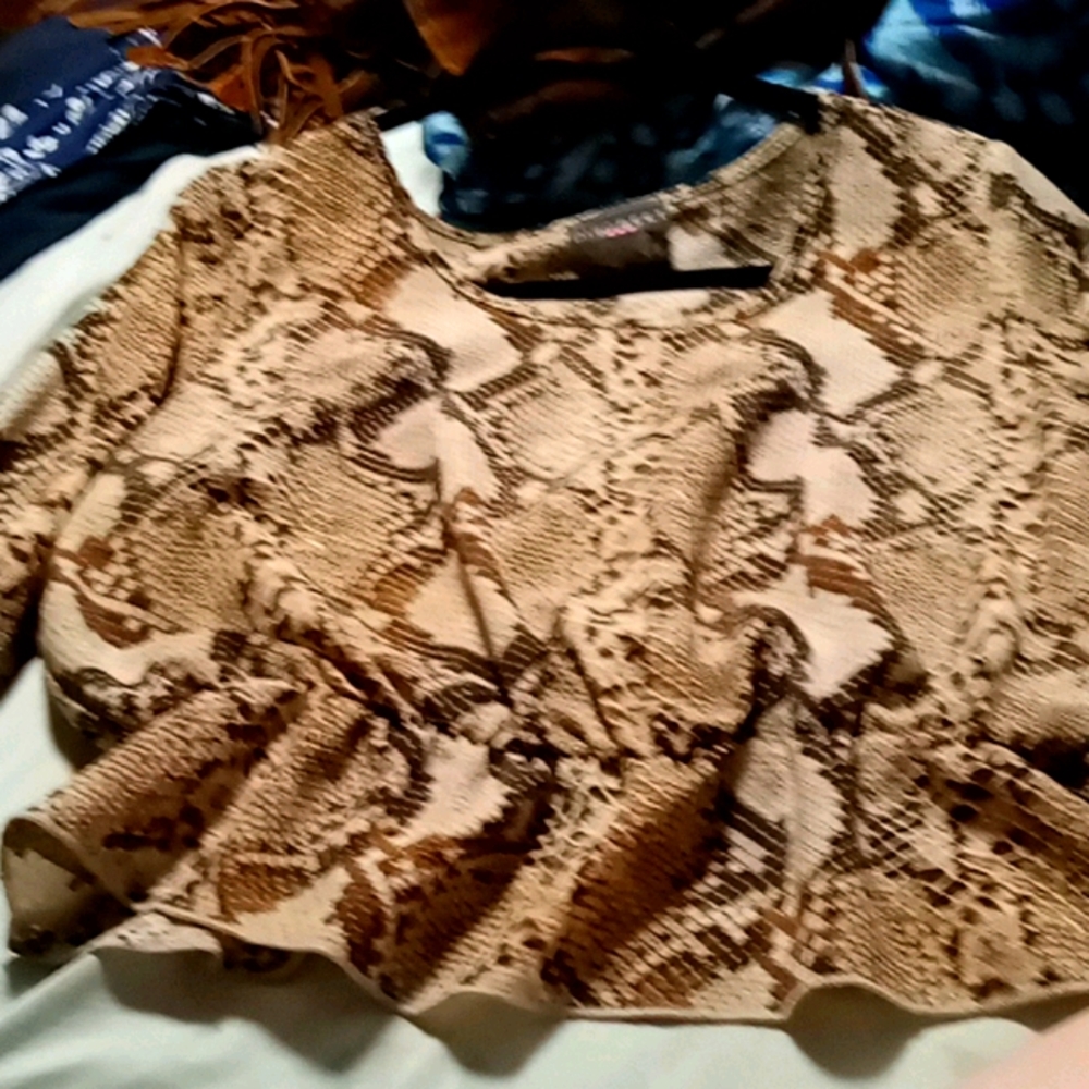 Western snake skin